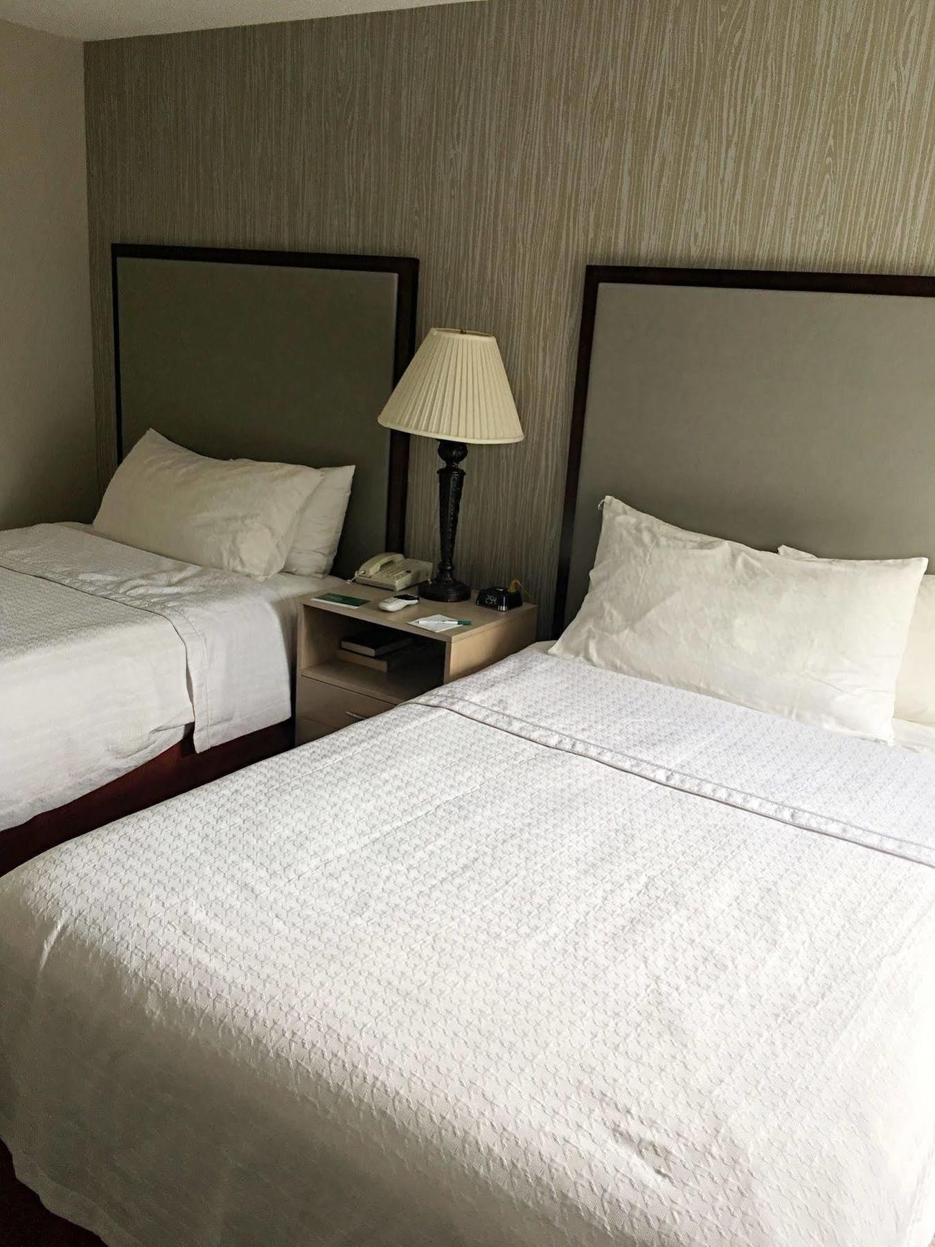 Homewood Suites By Hilton Chicago - Schaumburg Esterno foto